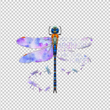 ALZHEIMER AWARENESS 33