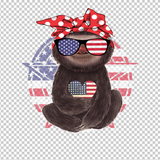 SLOTH 189