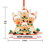 Any Family Name - Personalized Family Gift Ornament