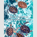 TURTLE 44