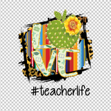 TEACHER 527