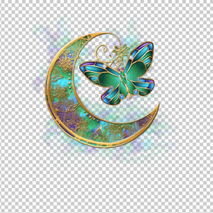 BUTTERFLY 31