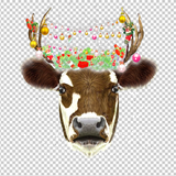 COW 58