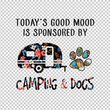 CAMPING 62