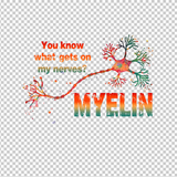 MULTIPLE SCLEROSIS AWARENESS 375