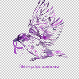 FIBROMYALGIA AWARENESS 71