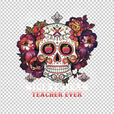 TEACHER 585