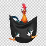 CHICKEN 5