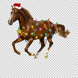 HORSE 11
