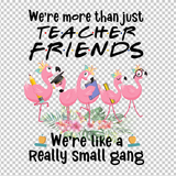 TEACHER 335