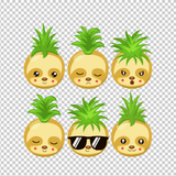 SLOTH 24