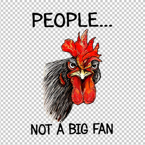 CHICKEN 170