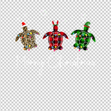 TURTLE 37