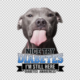 DIABETES AWARENESS 41