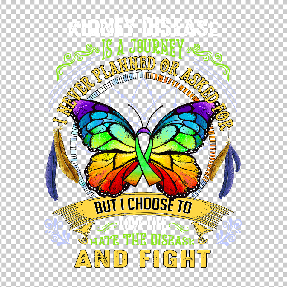 KIDNEY AWARENESS 1