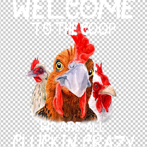 CHICKEN 67