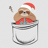 SLOTH 166