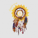 HIPPIE 381