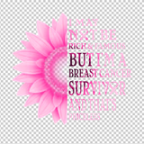 BREAST CANCER AWARENESS 241