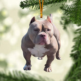 Any Photo Ornament - Personalized Dog Custom Shaped Ornament
