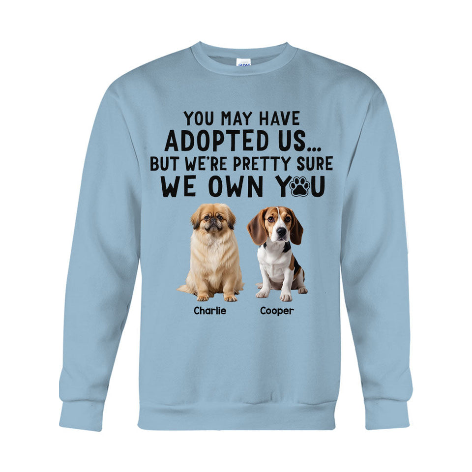 I'm Pretty Sure I Own You - Personalized Dog T-shirt And Hoodie