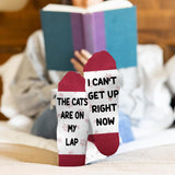 The Cats Are On My Lap - Personalized Cat Socks