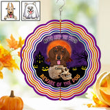Beware Of The Dogs - Personalized Dog Wind Spinner