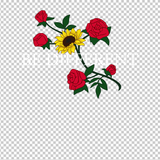 SUNFLOWER 19