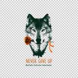 MULTIPLE SCLEROSIS AWARENESS 241