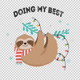 SLOTH 163