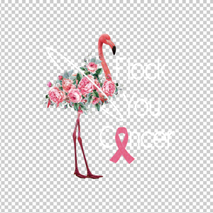 BREAST CANCER AWARENESS 212