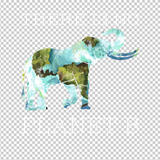 ELEPHANT 7